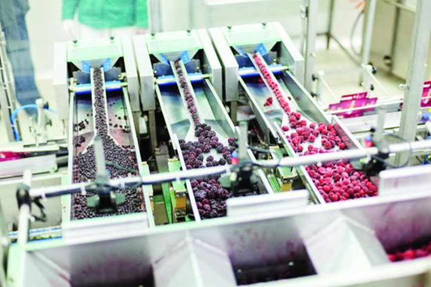 Khí nén sạch trong thực phẩm