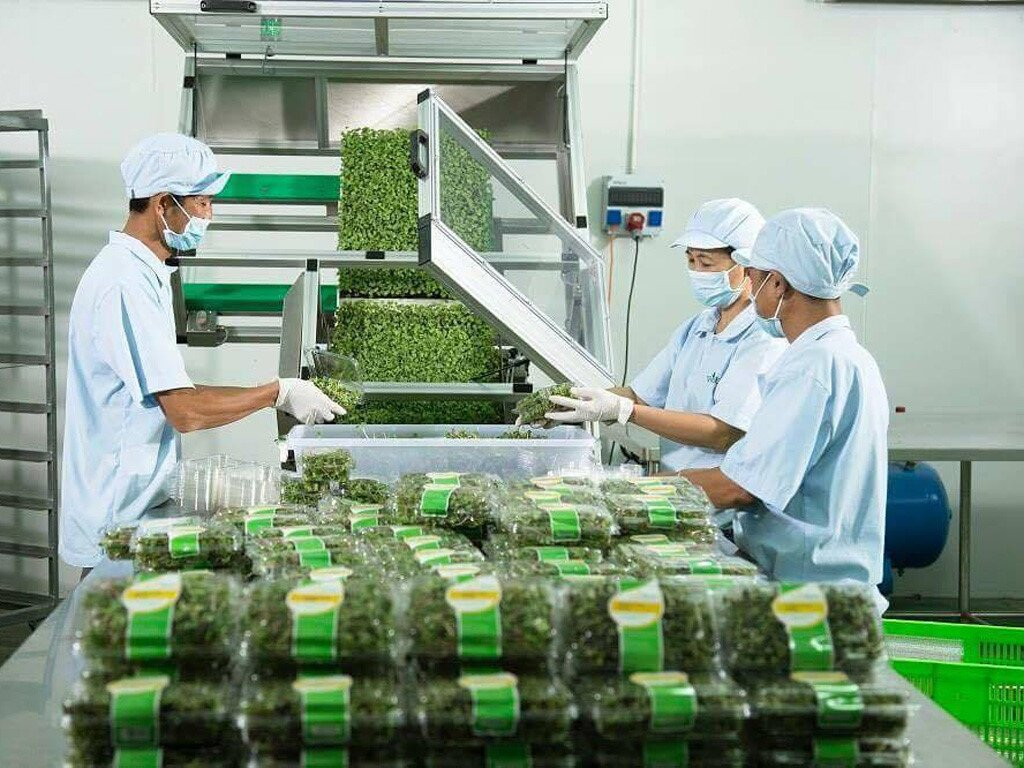 Ứng dụng nitrogen trong đóng gói thực phẩm